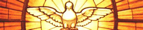 Cropped Holy Spirit Dove Png My Daily Bread A Reason Bcatholic Blog