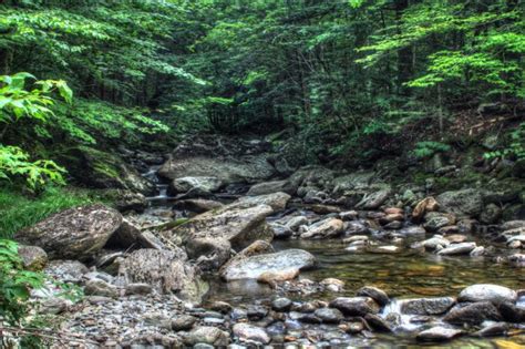 A Stream In The Middle Of A Forest Filled With Rocks And Trees