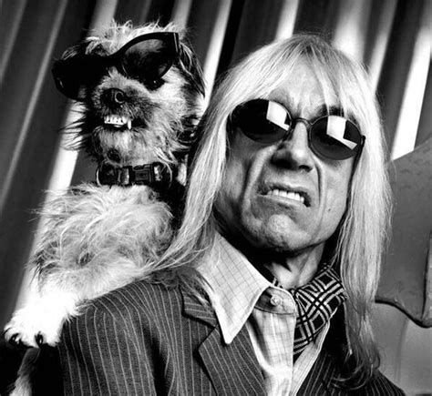 Iggy Pop And Pup Iggy Pop Famous Dogs The Stooges