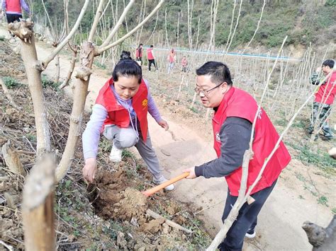 凝心聚力谋发展 真抓实干谱新篇——龙王镇2023年度重点工作亮点 宁陕县人民政府