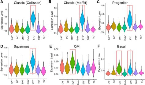 Expression Of Pdac Subtype Signature Genes In Different Cell Types Download Scientific Diagram