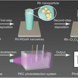 a) Schematic illustration of surface decoration of Rh–Cr2O3 hybrid ...