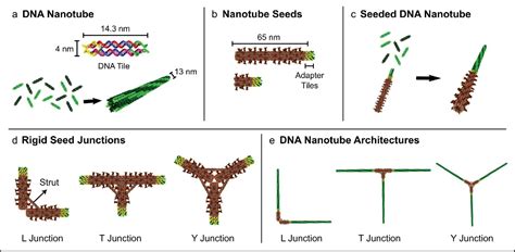 Figure 1 From Self Assembly Of Hierarchical DNA Nanotube Architectures