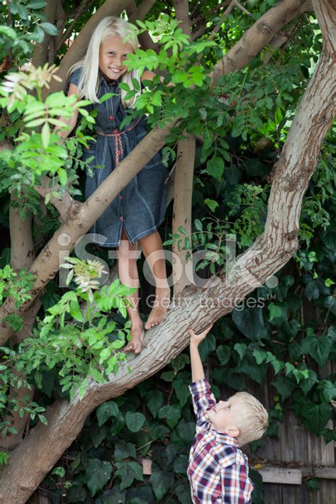 Cute Blonde Bruder Und Schwester Stockfoto Lizenzfrei Freeimages