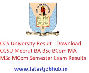 CCS University Result 2023 ccsuresults.com BA BSc BBA B.com