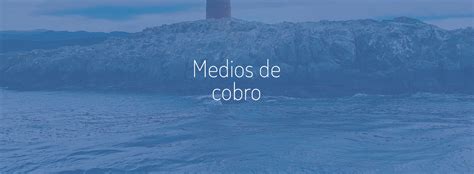 Medios De Cobro Y Pago Internacionales ATE