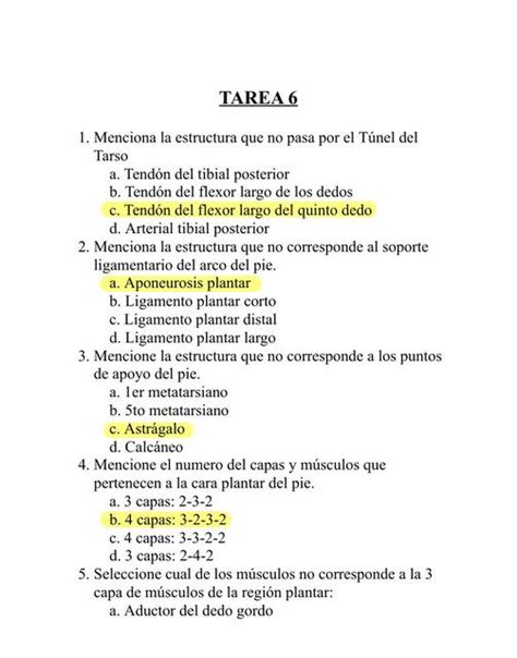 Tarea 6 Blanca Martinez UDocz