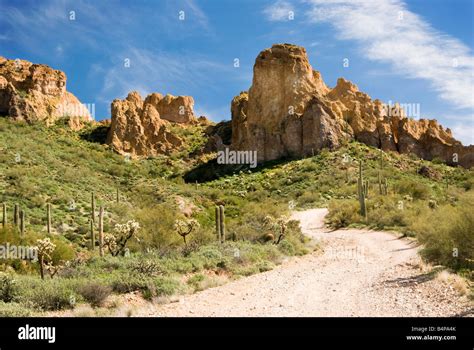 Sonoran Desert Hi Res Stock Photography And Images Alamy