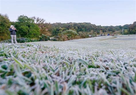 Paran Vai Ter Muito Frio Durante A Semana E Ocorr Ncia De Geadas Hojepr