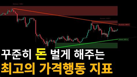 비밀 지표 다 공개합니다 Price Action 지지 저항 매물대 추세 리테스트 거짓돌파 지표가 다 잡아줌 Youtube