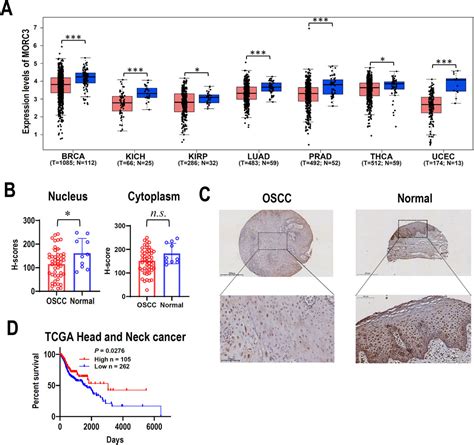 Frontiers Genome Wide Analysis Reveals The Morc3 Mediated Repression Of Pd L1 Expression In