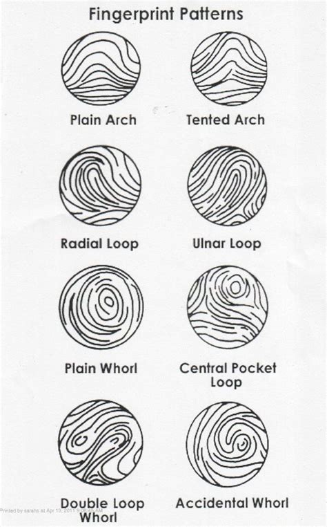 Fingerprint Ridge Characteristics Worksheet