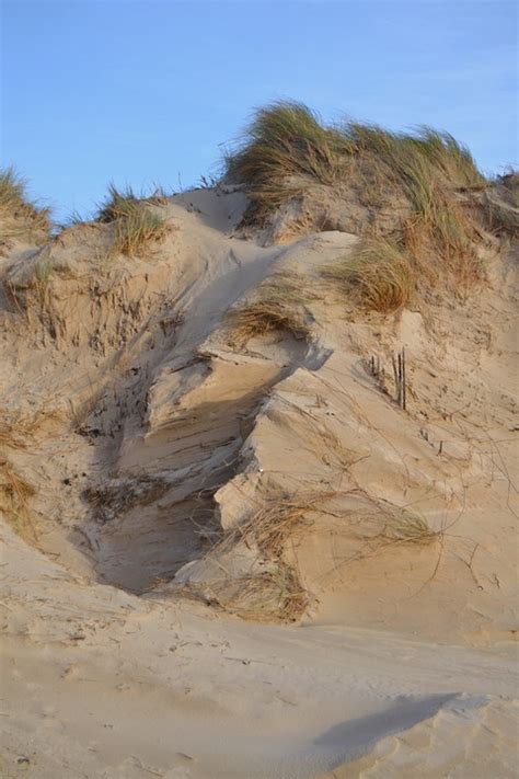 Dunes Seaside Sand Free Photo On Pixabay Pixabay