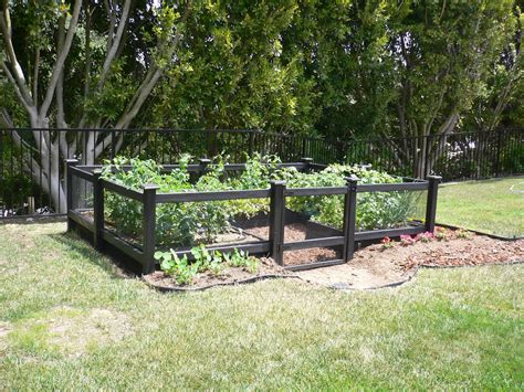 Creative Vegetable Garden Fence Ideas For Protection And Beauty Artourney