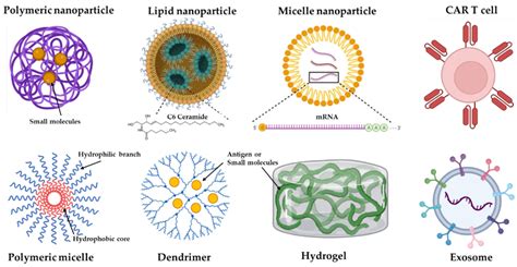 Pharmaceutics Free Full Text Cancer Immunotherapy And Delivery