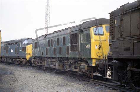 Rail Online Class 24 Br Sulzer Type 2