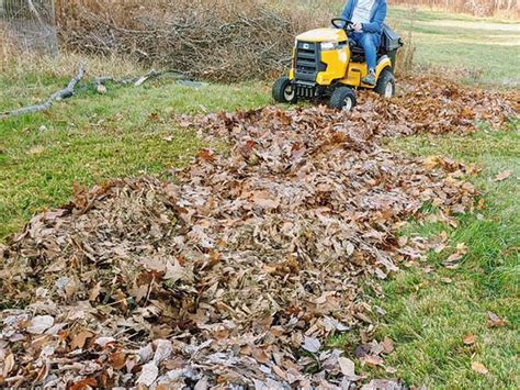 Why You Need A Mulching Lawn Mower