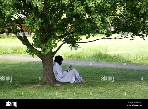 Femme sous un arbre Banque de photographies et dimages à haute