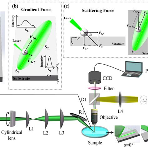 Schematic Diagrams Of A Experimental Setup And The Opto Conveyor R