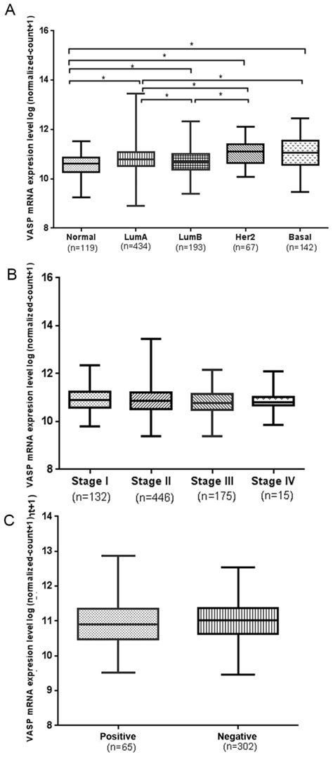 Knockdown Of Rac And Vasp Gene Expression Inhibits Breast Cancer Cell