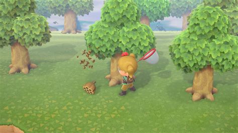 Animal Crossing New Horizons Tips And Tricks For Catching Rare Bugs