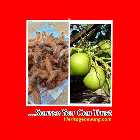 Herbal Organic: For kidney stones, candidiasis, gonorrhoea