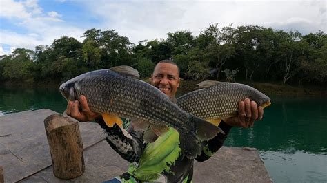 PESCARIA INSANA DE PIAUÇU GIGANTE NO RIO PARANAÍBA Acampamento e