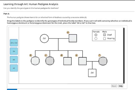 Learning Through Art Human Pedigree Analysis