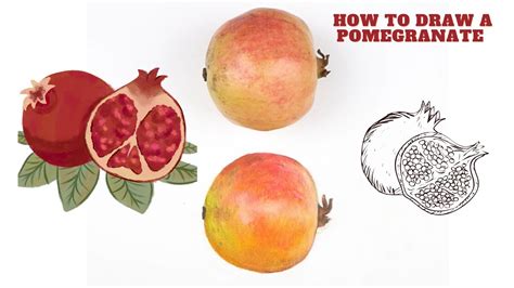 How To Draw Pomegranate Step By Step Very Easy Draw YouTube