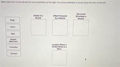 Solved Match Each Term On The Left With Its Correct Chegg