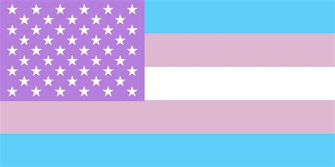 Trans Flag Icon #129097 - Free Icons Library