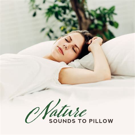 Nature Sounds To Pillow Nature Music For Relaxation Zen Lounge Calm