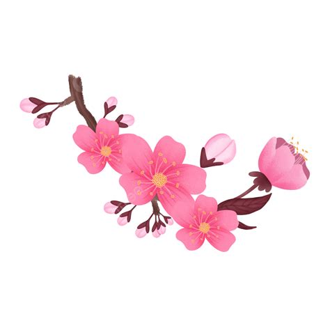 Guirlande De Sakura Png Vecteurs Psd Et Ic Nes Pour T L Chargement