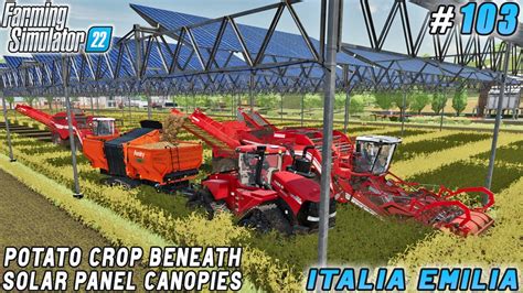 Potato Harvesting In The Shade Of Solar Panels Italian Farm Farming