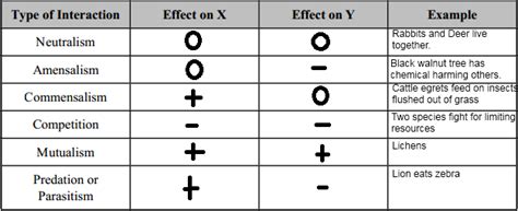 Biology Essentials Populations Guided Viewing Worksheet Apes By