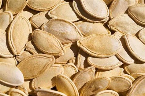 Sources Of Zinc: Top Vegan Foods & Ayurvedic Herbs