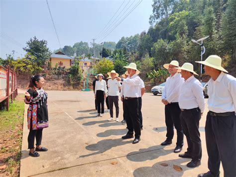 省农业农村厅到普洱市西盟县调研指导巩固拓展脱贫攻坚成果及定点帮扶工作云南省农业农村厅