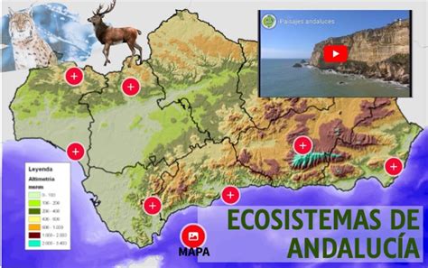 ECOSISTEMAS DE ANDALUCÍA