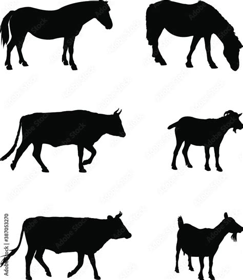 Farm Animals Silhouettes Stock Vector Adobe Stock