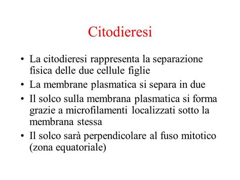 Ciclo Cellulare S Beninati Ppt Scaricare