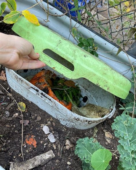 How to Build a Worm Bin : A DIY Guide for Vermicomposting