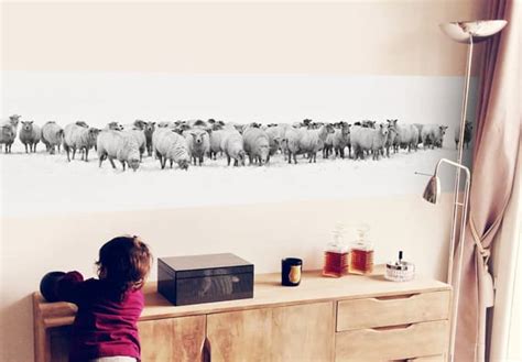 Papier Peint Photo Troupeau De Moutons Wall Art Fr