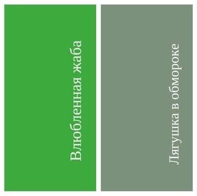 #словарик_шейпори Цвета: Влюбленная жаба. Лягушка в обмороке. В 18-19 ...