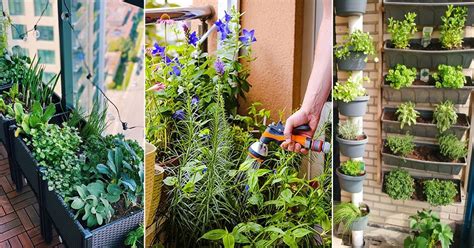 How To Make A Balcony Herb Garden Complete Tutorial