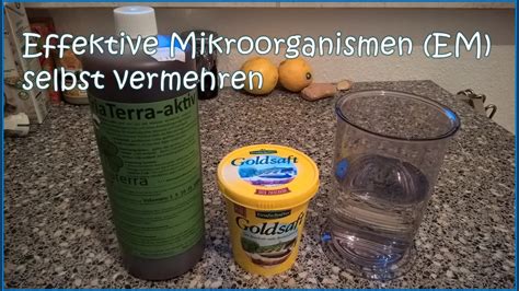 Effektive Mikroorganismen Em Selbst Vermehren Youtube