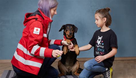 Neue Hundestaffel Tierisch wertvolle Mitarbeiter für das Rote Kreuz