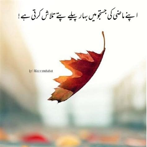 Pin Di Huzifa Malik Su Urdu Poetry