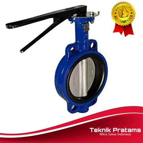 Jual 2 Inch Butterfly Valve Cast Iron Jakarta Barat Teknik Pratama Tokopedia