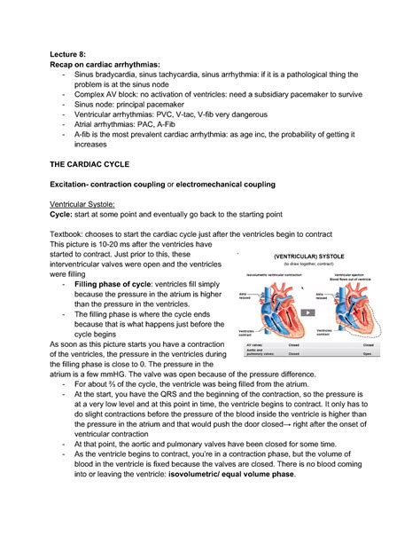 Cardiovascular Part 11 Lecture 8 Recap On Cardiac Arrhythmias