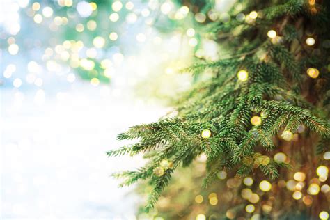 Christmas Tree Background (50+ images)